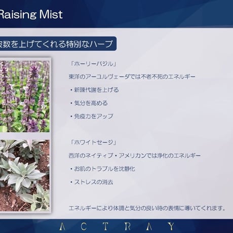 【化粧水】レイジング ミスト ／Raising Mist