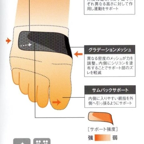締め付けないのに強力固定『HOLZAC外反母趾用サポーター』(１枚入、左右兼用)