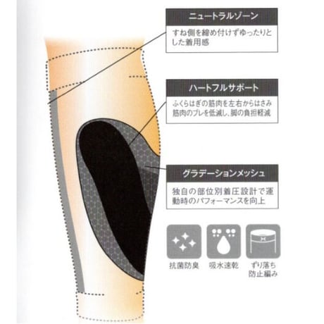 締め付けないのに強力固定『HOLZACふくらはぎ用サポーター』(２枚入)