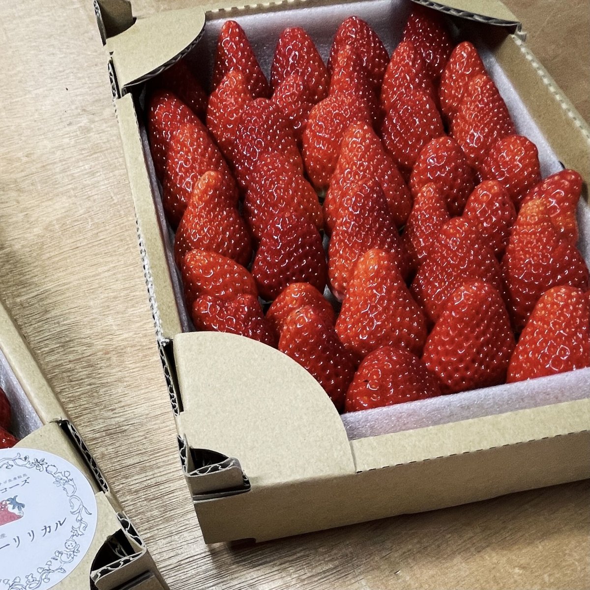 夏イチゴ サマーリリカル 2箱SET | 高原のエコーズONLINE直売所