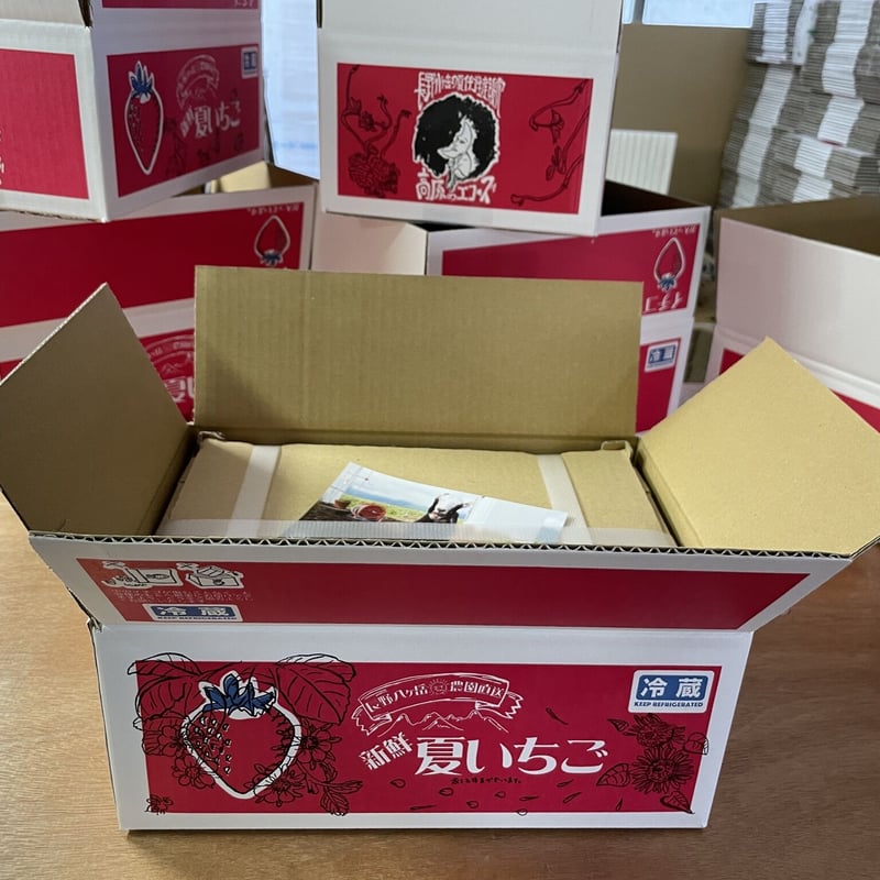 夏いちご極小粒2kg（サマーリリカル）★クール便送料込★ 夏いちご極小粒2kg（サマーリリカル）☆クール便送料込☆ - メルカリ