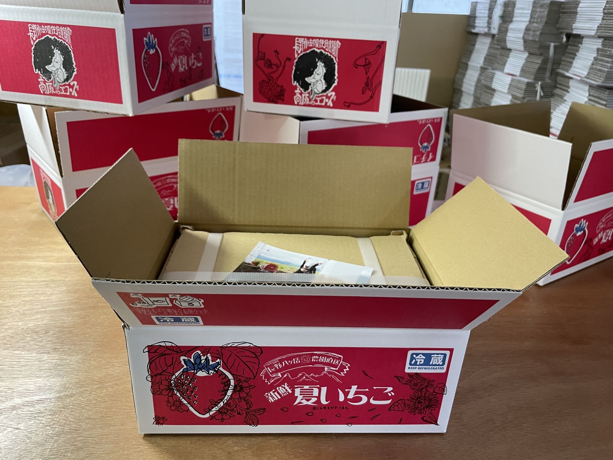 送料込み】イチゴ 
