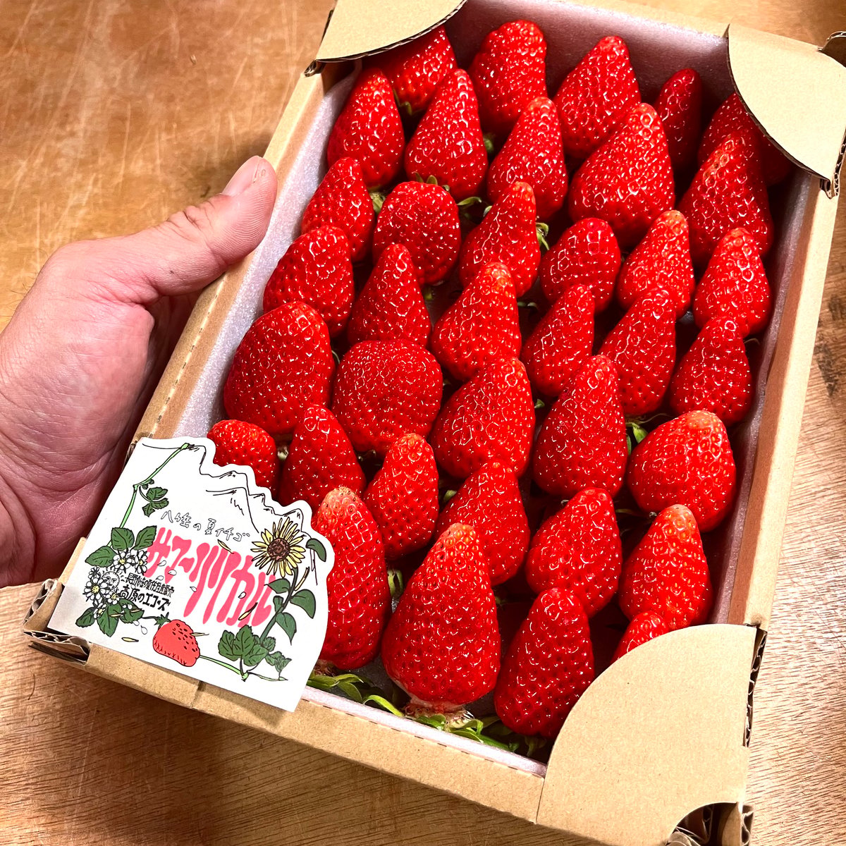 苺. 送料込み】イチゴ 