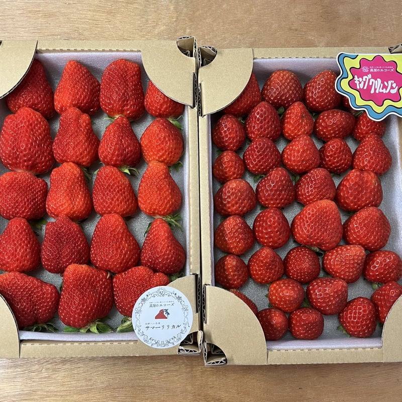 夏イチゴ サマーリリカル&キングクリムゾン 食べ比べSET | 高原の