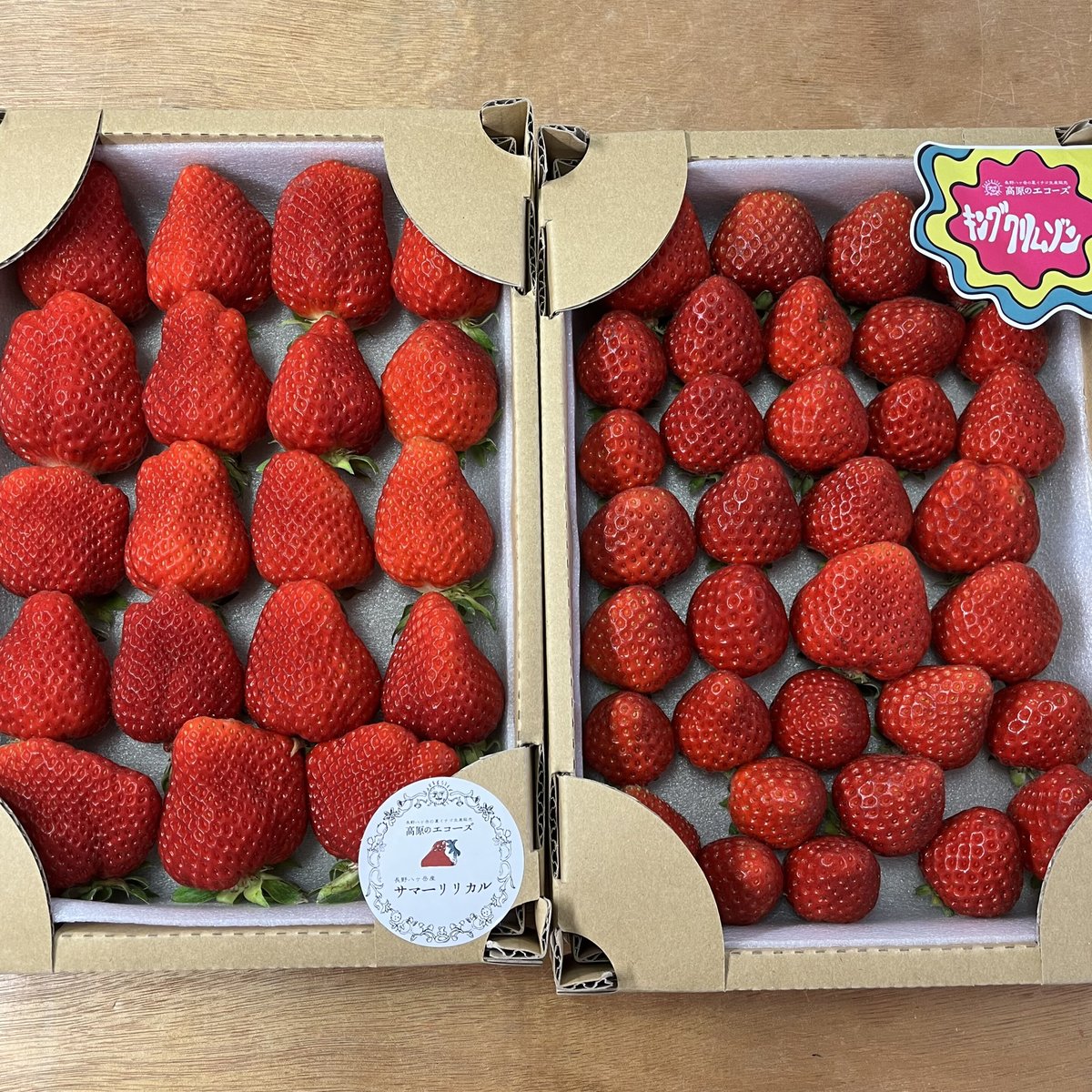 いちごさま専用 夏イチゴ サマーリリカル&キングクリムゾン 食べ比べSET | 高原の