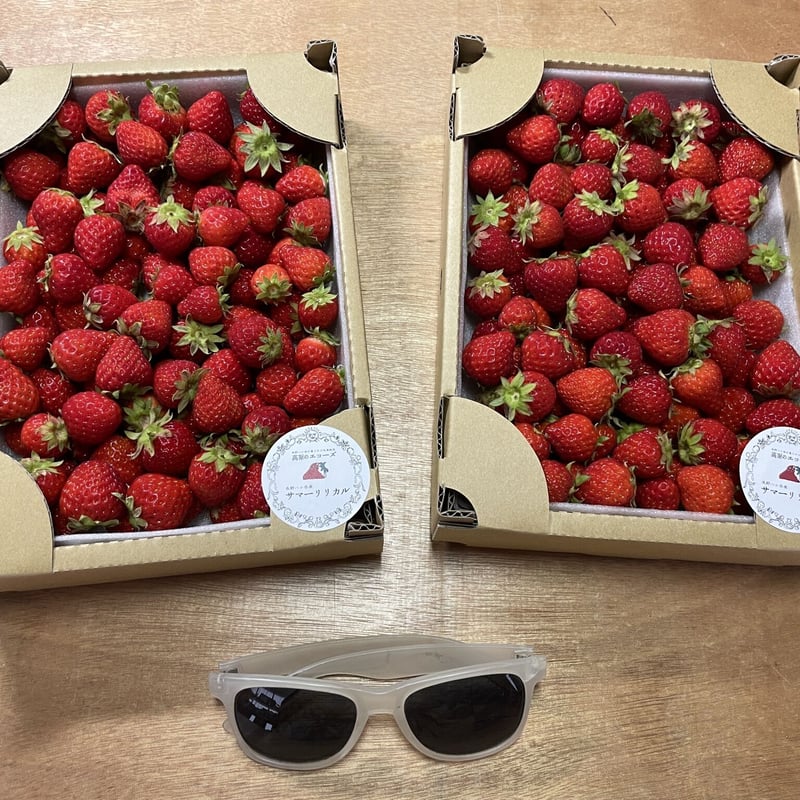 夏いちご極小粒2kg（サマーリリカル）★クール便送料込★ 夏いちご極小粒2kg（サマーリリカル）☆クール便送料込☆ - メルカリ