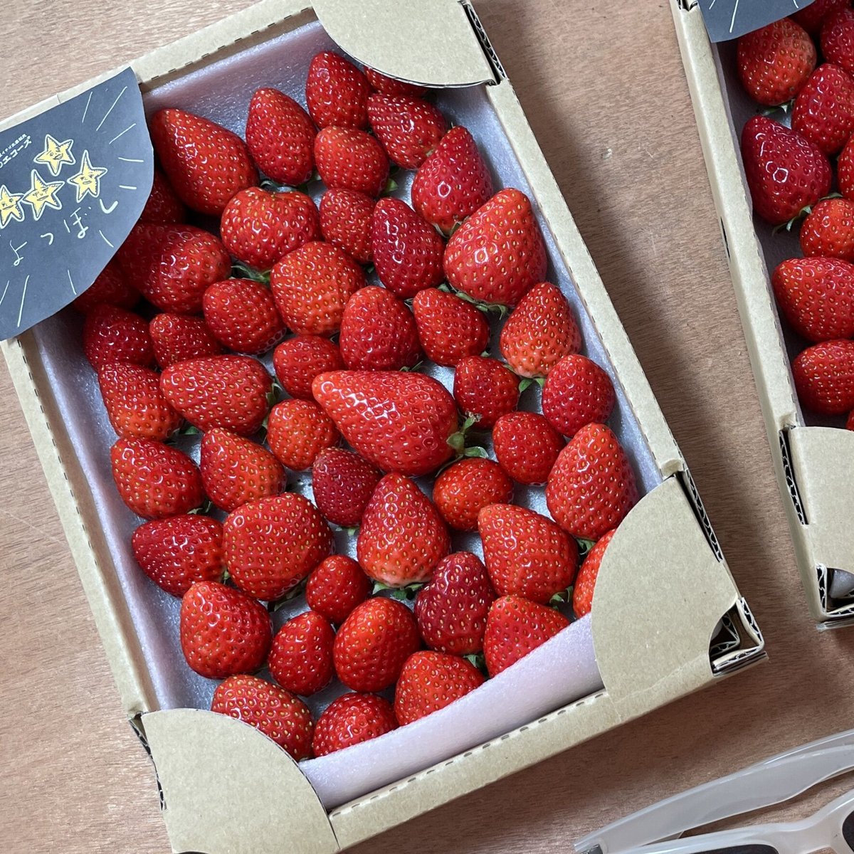夏イチゴ よつぼし 2箱SET | 高原のエコーズONLINE直売所