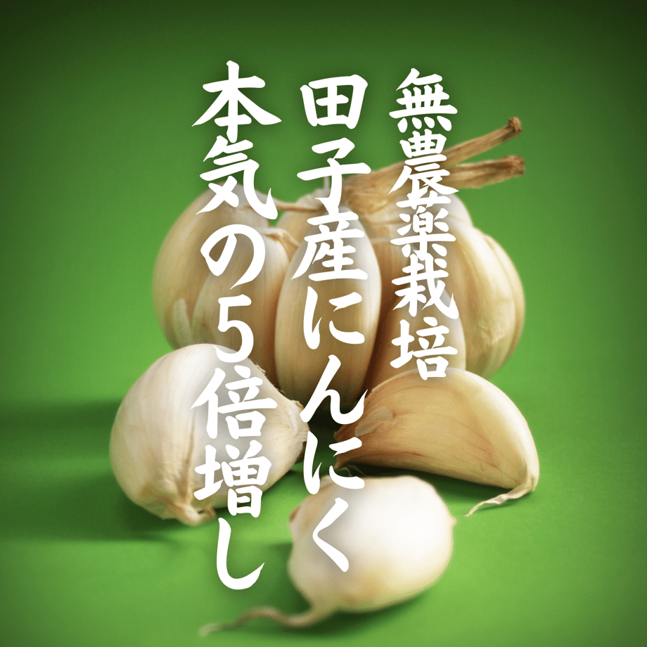 64c9e3360b53bc002e155cf5