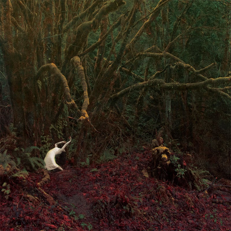 PALM - 'TO LIVE IS TO DIE, TO DIE IS TO LIVE' K