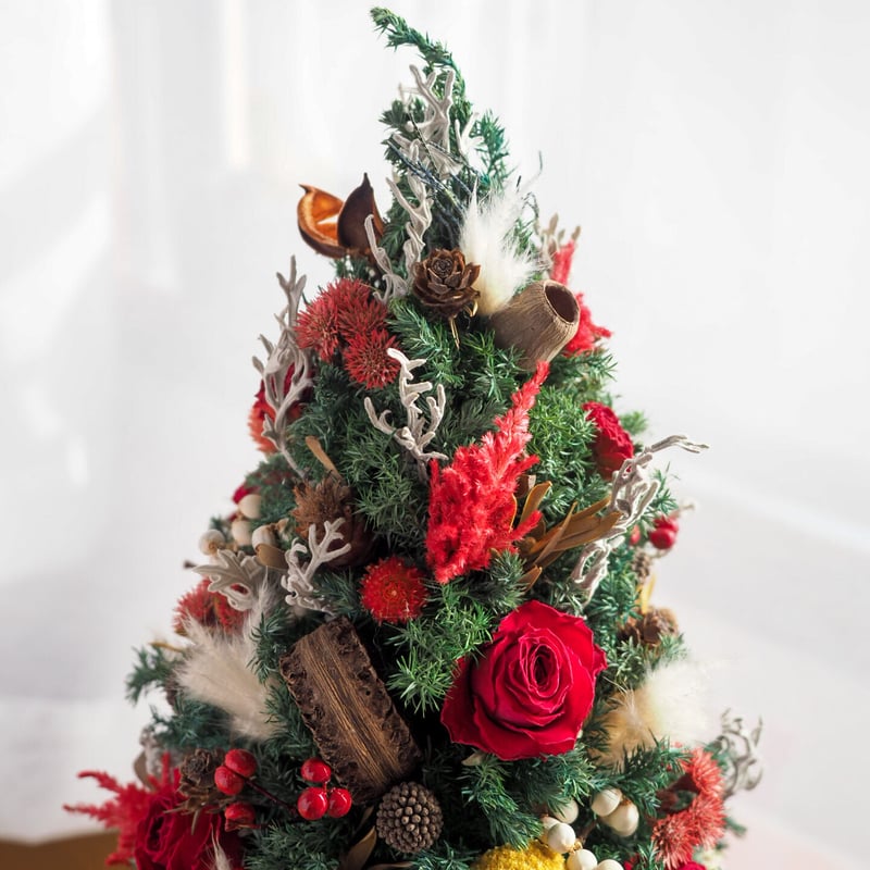 ドライフラワー クリスマスツリー ドライフラワーのクリスマスツリー M | Kaguwa