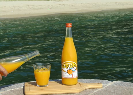 明浜みかんジュース ムテンカ 720ml×12本
