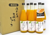 明浜みかんジュース ムテンカ 720ml×6本 | あけはまシーサイドサン