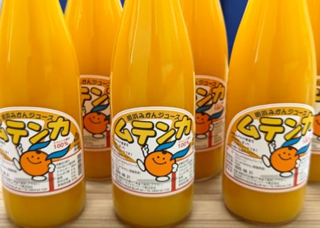 明浜みかんジュース ムテンカ 720ml×12本