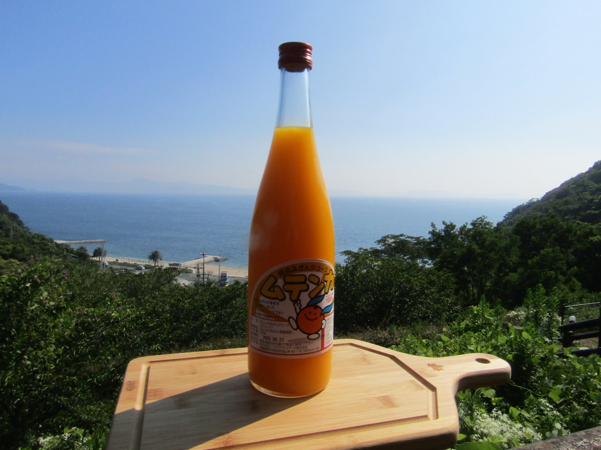 明浜みかんジュース ムテンカ 720ml×3本 | あけはまシーサイドサン