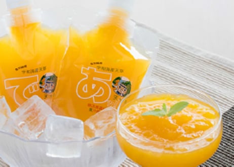 えひめの「飲む明浜みかん 寒天ジュレ」セット 10個入り