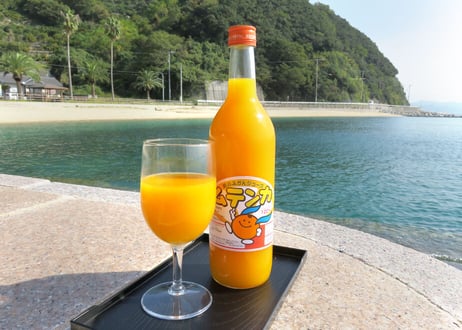 明浜みかんジュース ムテンカ 720ml×6本