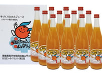 明浜みかんジュース ムテンカ 720ml×12本