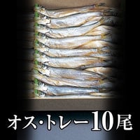 北海道産ししゃも　オス　トレー　10尾