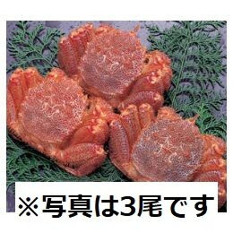冷凍 ボイル毛ガニ 1尾 約350g前後 | はこだて浪漫館