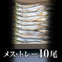 北海道産子持ちししゃも　メス　トレー入　10尾