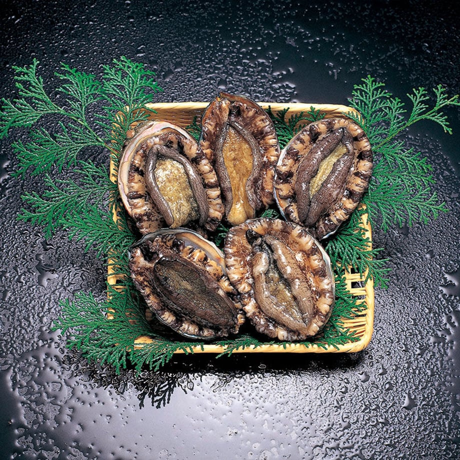 60408b3e2438602b8a990875