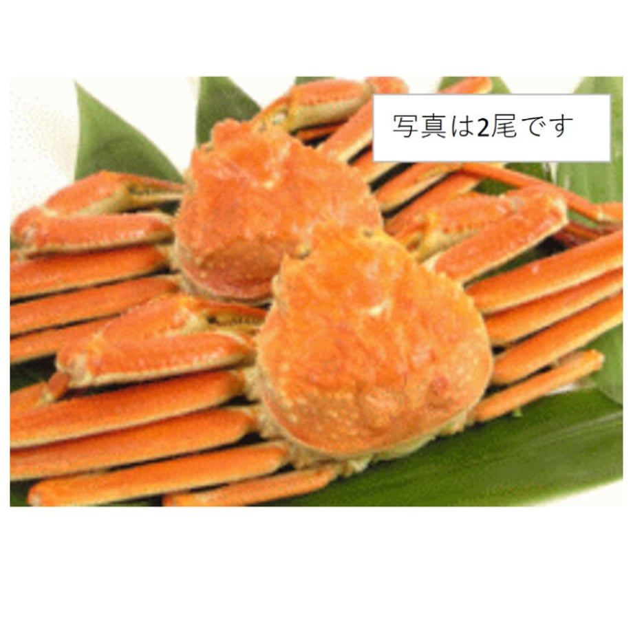 637ed2a74b0839310506d8cd