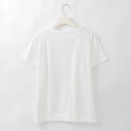 エンブロイダリーコットンシアーTシャツ

[22011545]natural mist