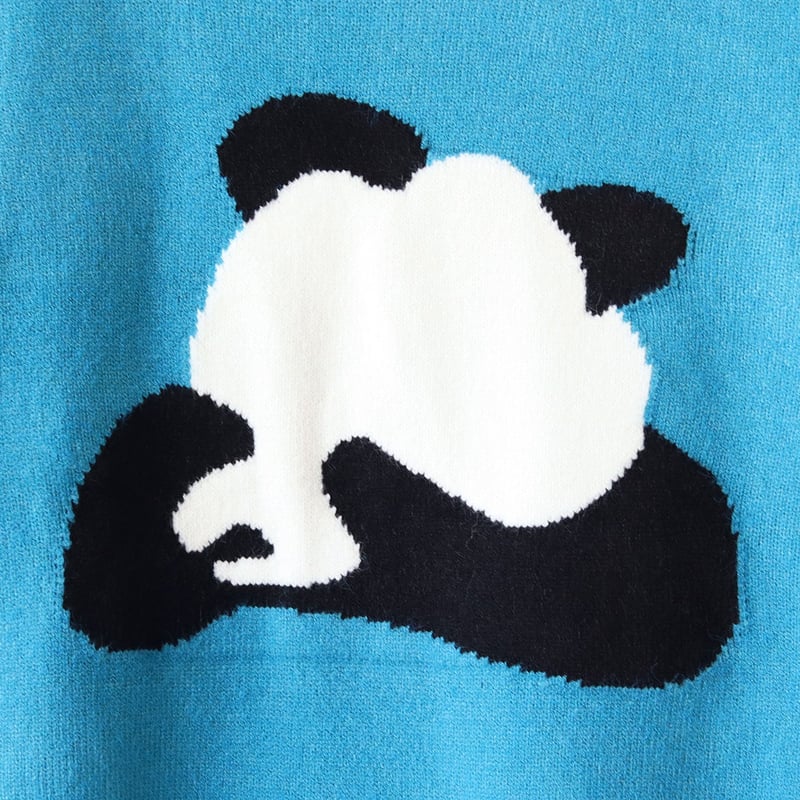 PANDAニットプルオーバー[22032279]vivid | natural mist Class