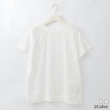 エンブロイダリーコットンシアーTシャツ

[22011545]natural mist