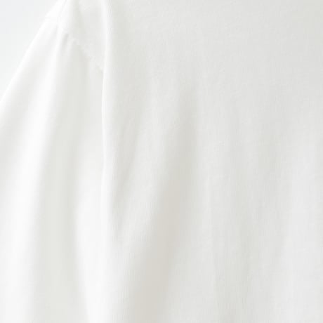 カットワークレースドッキングTシャツ

[22011546]natural mist