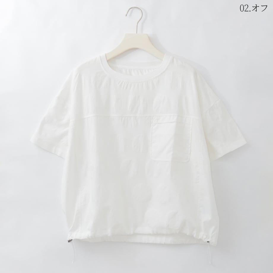 6a0437e5646cf1000165c433