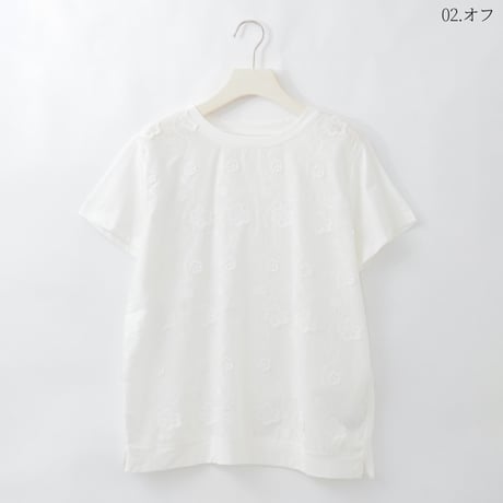 エンブロイダリーコットンシアーTシャツ

[22011545]natural mist