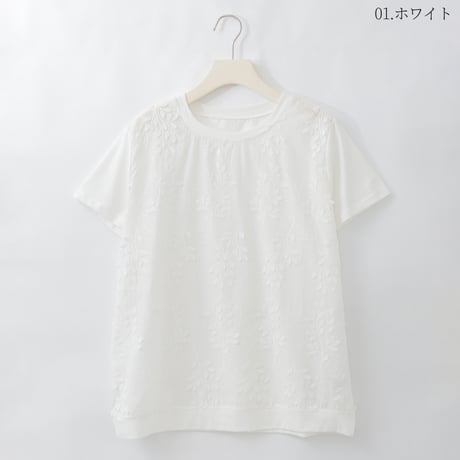 エンブロイダリーコットンシアーTシャツ

[22011545]natural mist