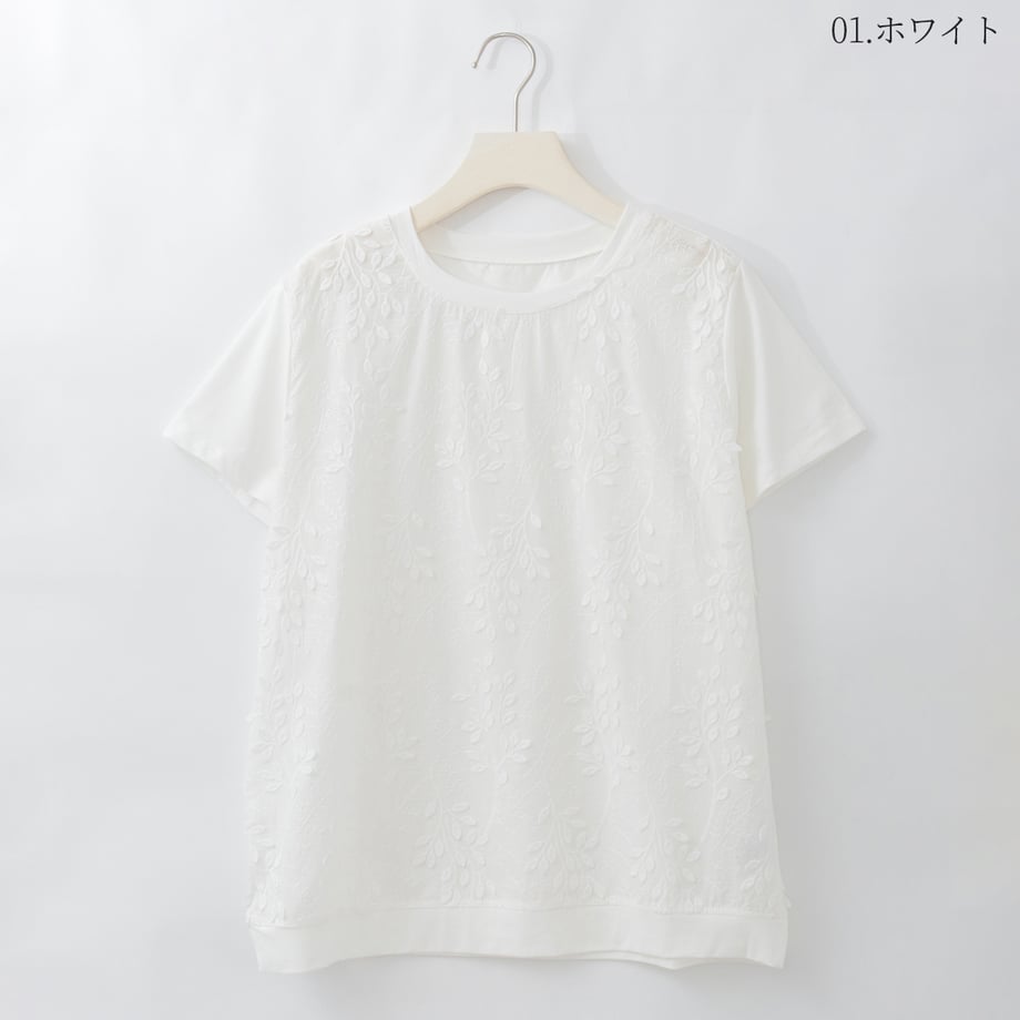 6a04382f646cf1000165c463