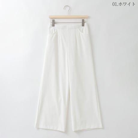 【日本製/透け防止】ベーシックイージーパンツ

[80317298]natural mist