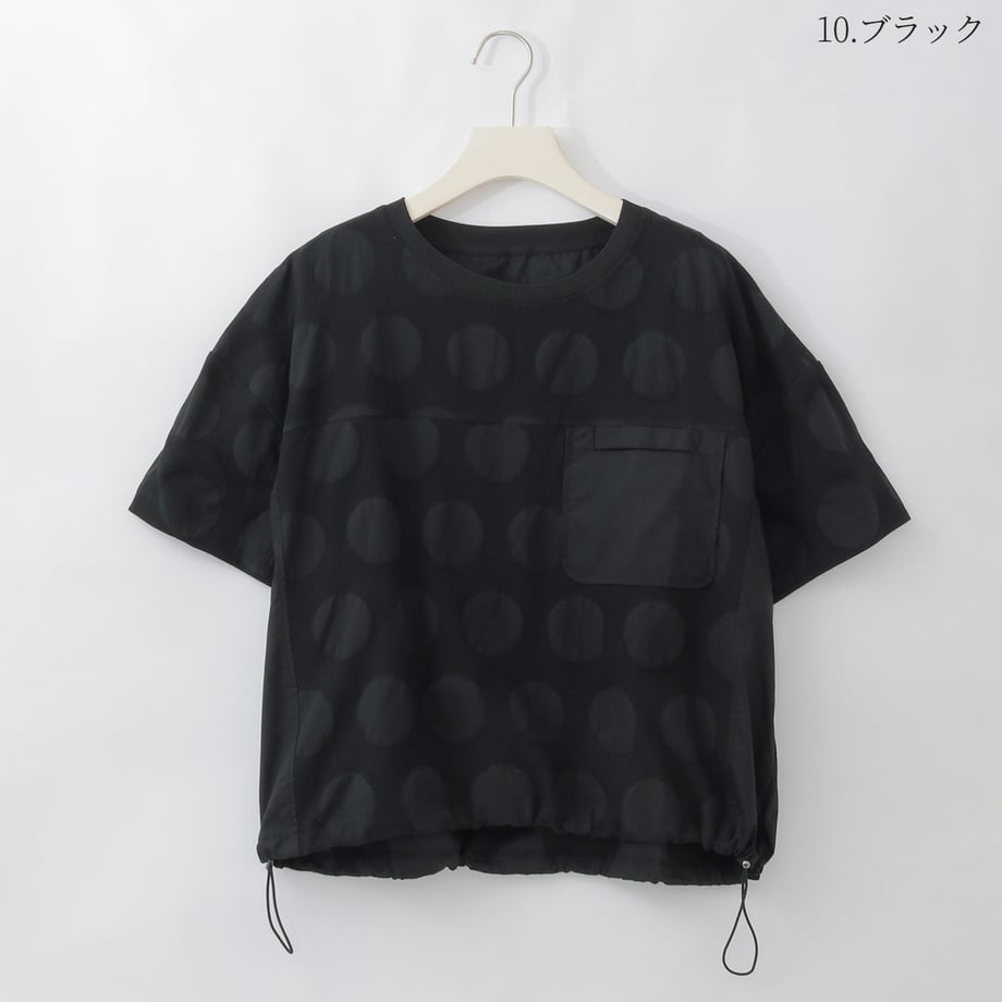 6a0437e5646cf1000165c433