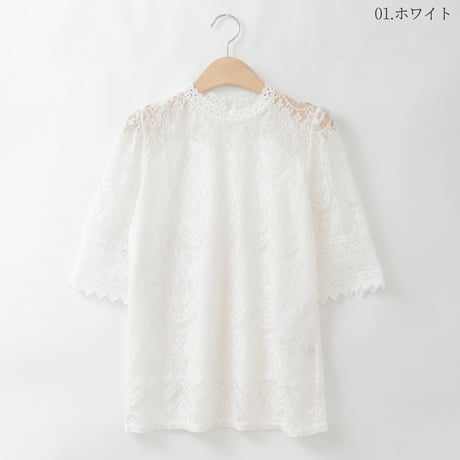 カットワークレースハイネックブラウス

[14953416]&Noel