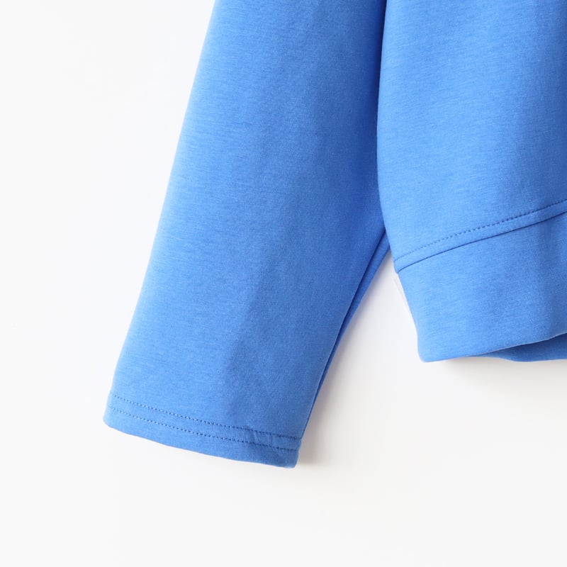 ワンポイントテキスタイル刺繍プルオーバー[22031418]vivid | natural m