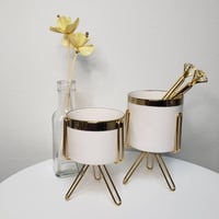 GOLD おしゃれ プランター