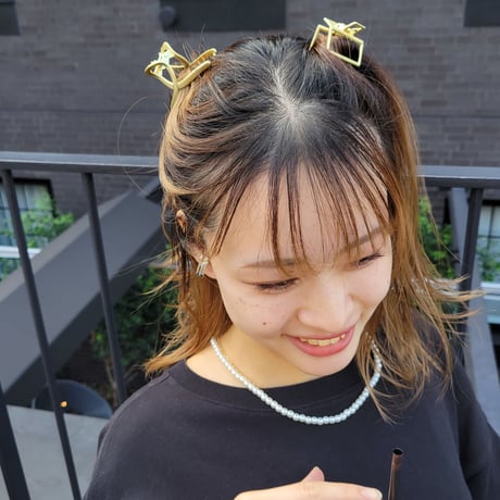 GDミニバンスクリップセット