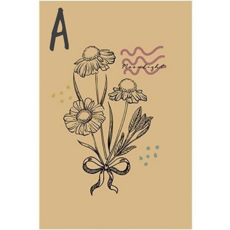 塗り絵みたいなポストカード 6枚セット