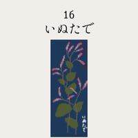 【16いぬたで】糸と刺繍布と針のセット