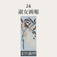 【24淑女画報】糸と刺繍布と針のセット