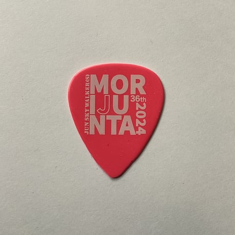 DAMAGEPLAN ツアーピック HISTORY HP2GPH HARD ピック 30枚セット ティアドロップ型 【滑り止め