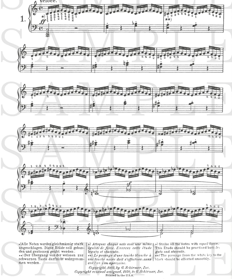 50256290】 クレメンティ：グラドゥス・アド・パルナッスム (29の練習