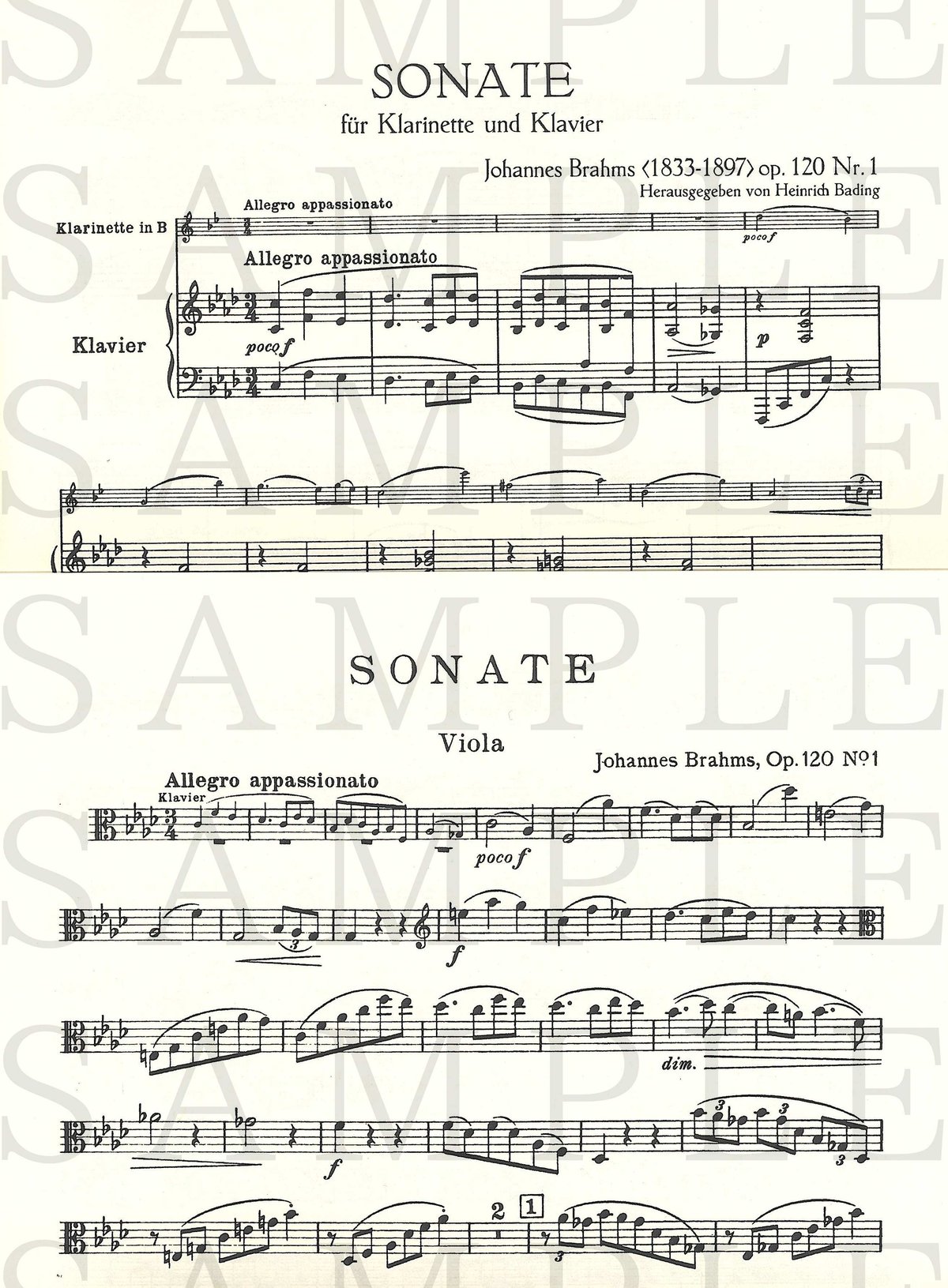 EP3896】J. ブラームス：2つのクラリネット・ソナタ Op. 120＜ヴィオラ