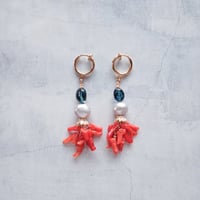 Coral 02 - E180