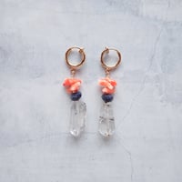 Coral 04 - E182