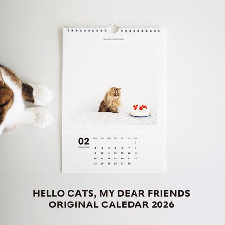 Hello cats, my dear friends