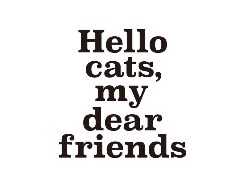 hello cats my dear friends 2点セット 2025年最新】hello cats my dearの人気アイテム - メルカリ